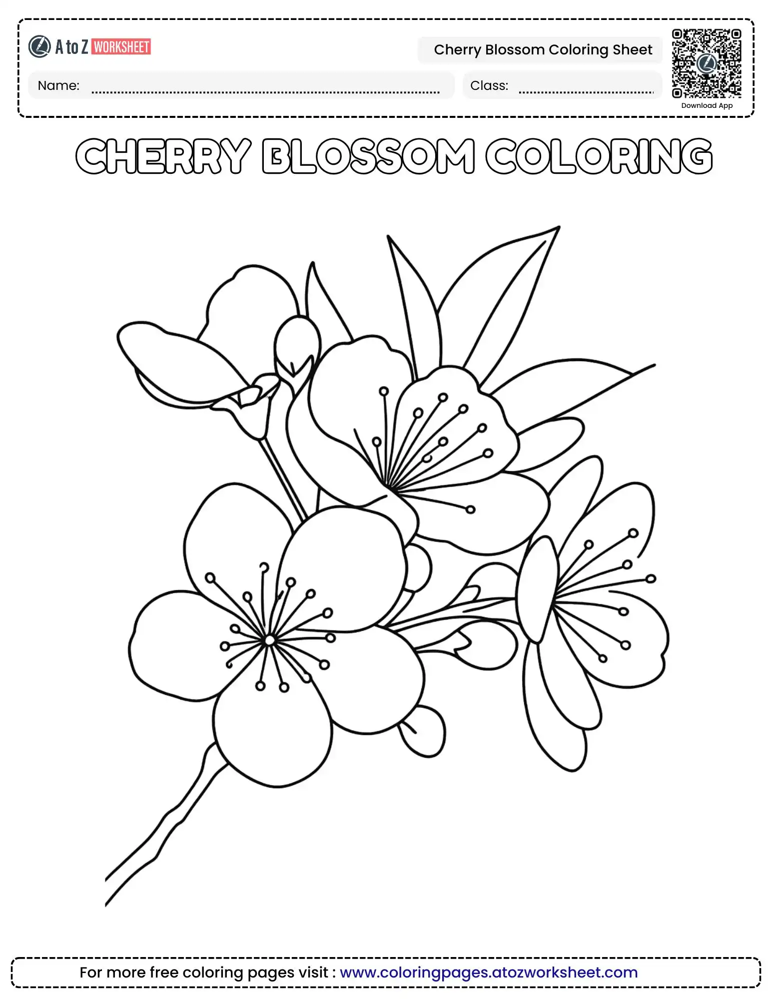 Cherry Blossom Coloring Sheet Spring Bloom Free PDF