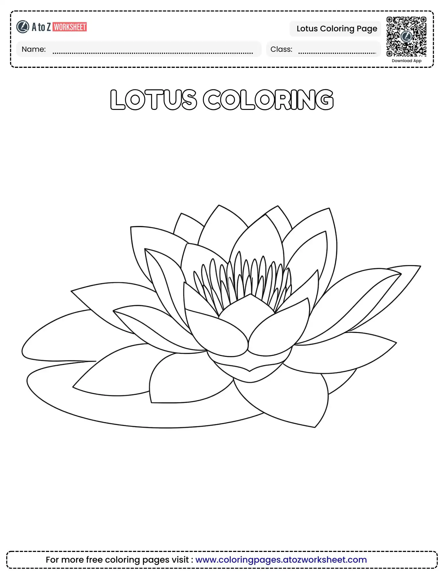 Lotus Coloring Page Pond Blossom For Kids