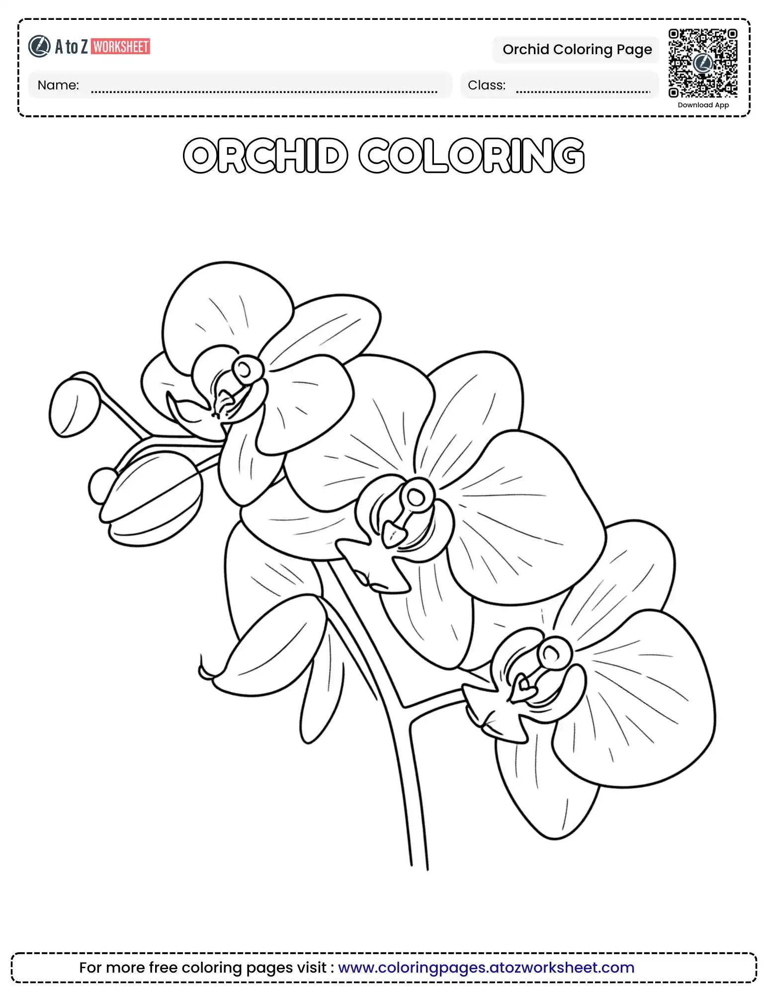 Beautiful Orchid Coloring Page Tropical Bloom Free PDF