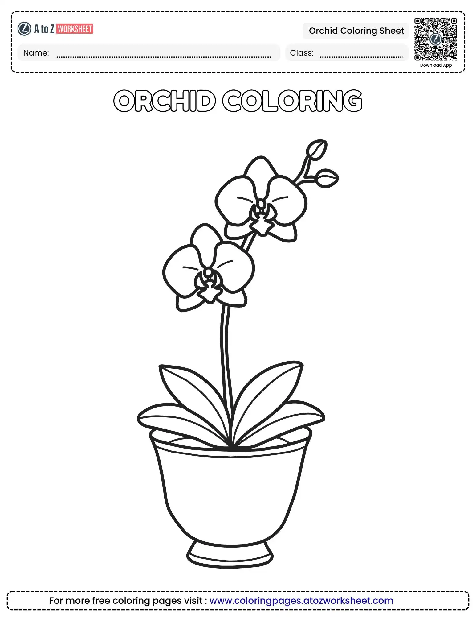 Free Printable Orchid Coloring Sheet For Kids