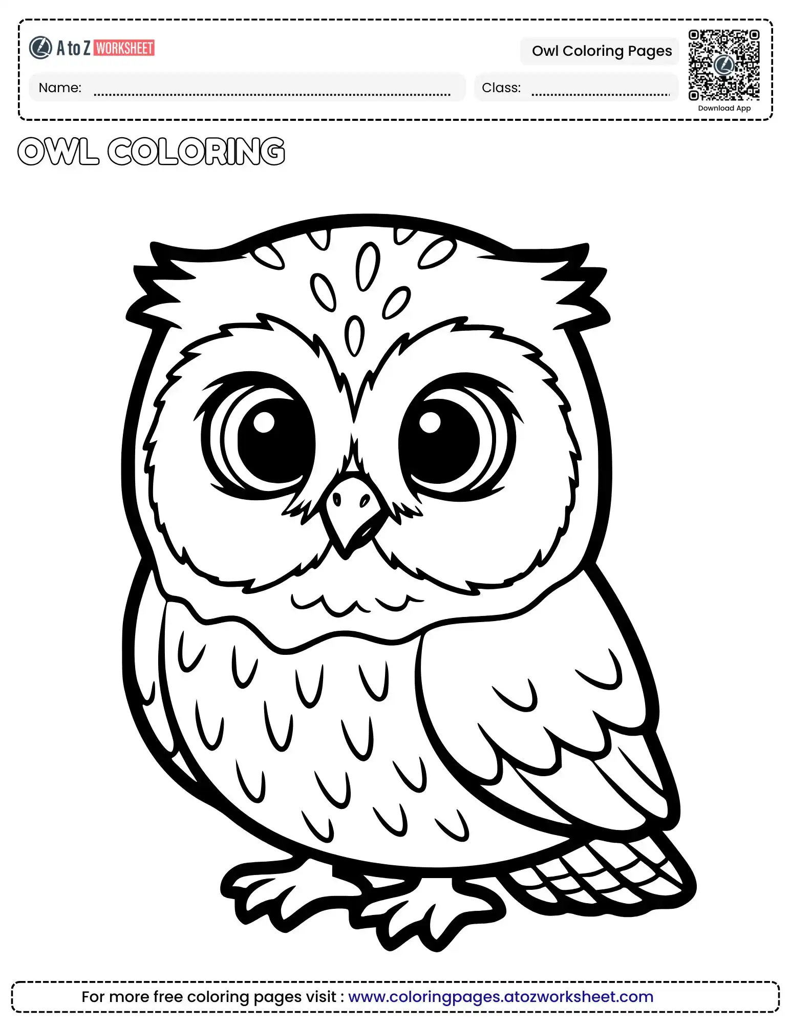 Printable Owl Coloring Pages with Cute Night Birds (Free PDF)