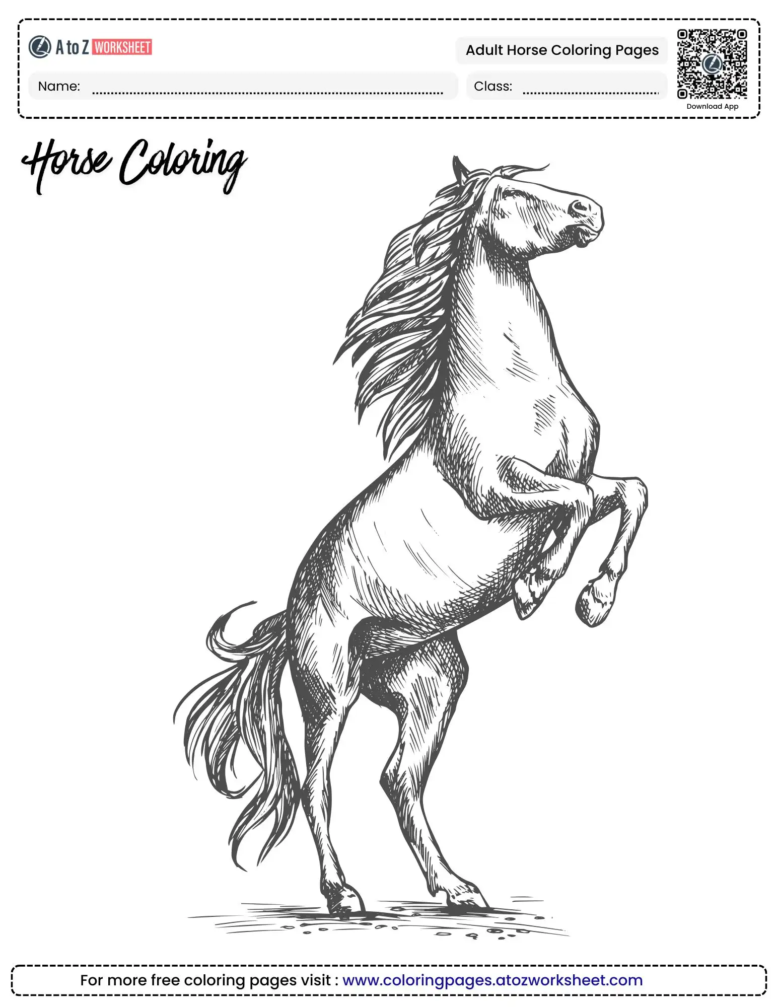 adult horse coloring pages rearing stallion sketch