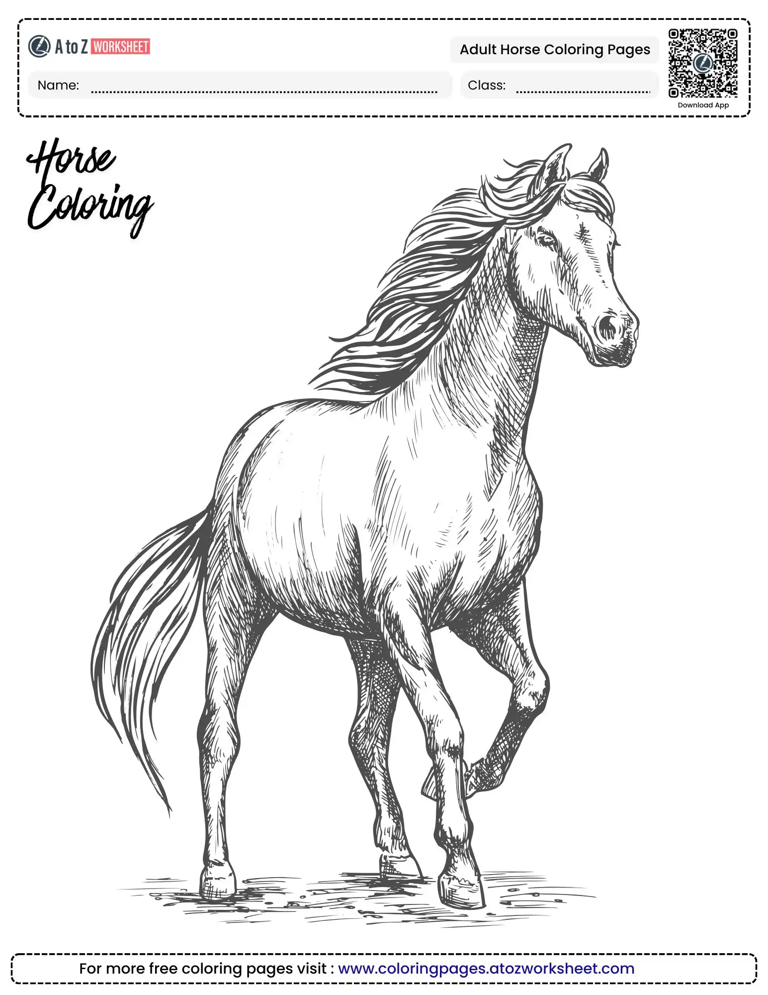 adult horse coloring pages walking mare illustration