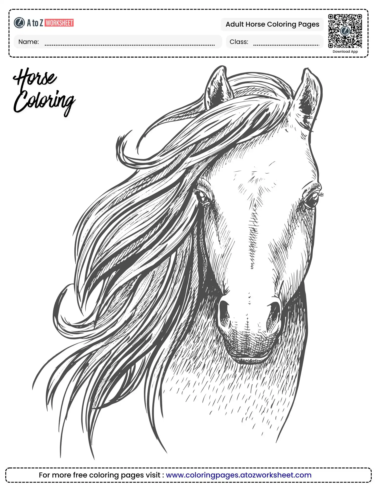 adult horse coloring pages detailed portrait close up