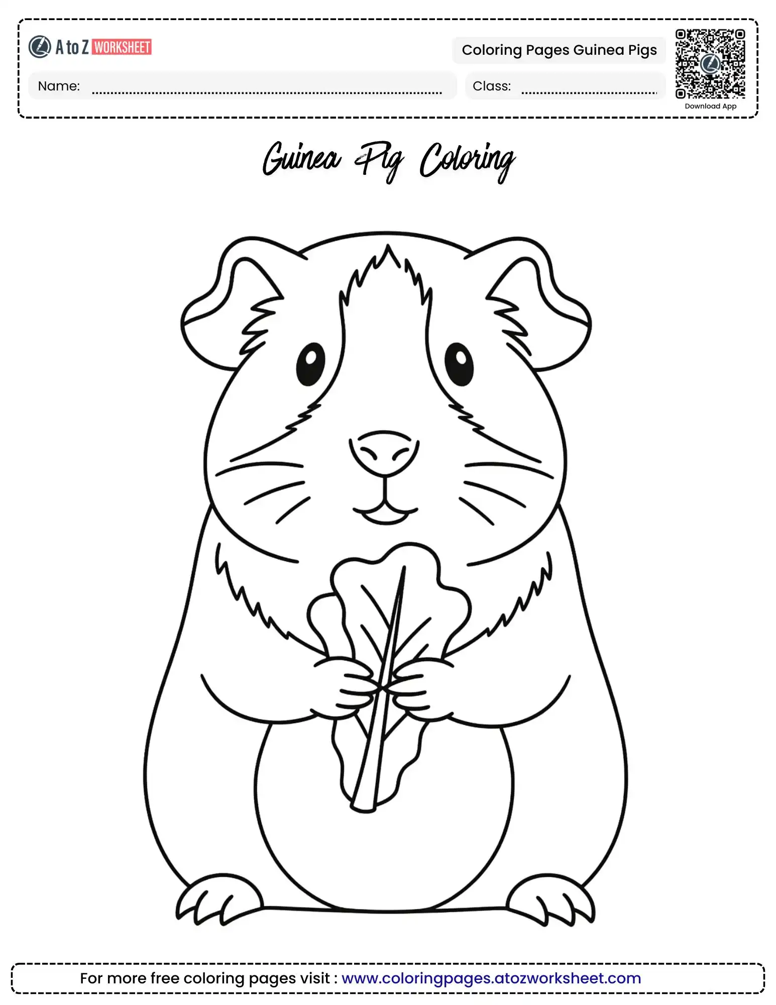 coloring pages guinea pigs cute pet eating lettuce