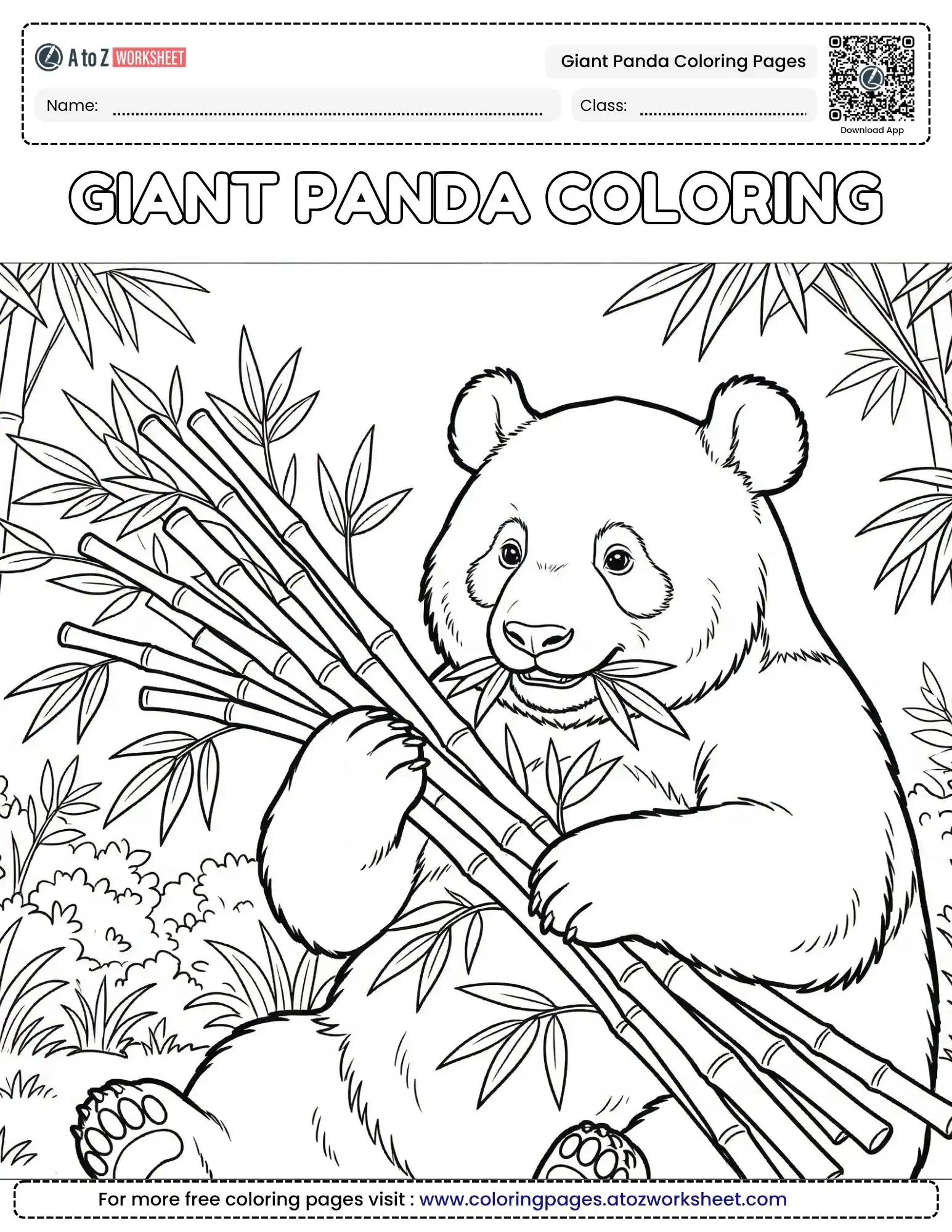 Free Giant Panda Coloring Pages To Print For Curious Students 1 giant panda coloring pages showing a realistic panda with a bundle of bamboo