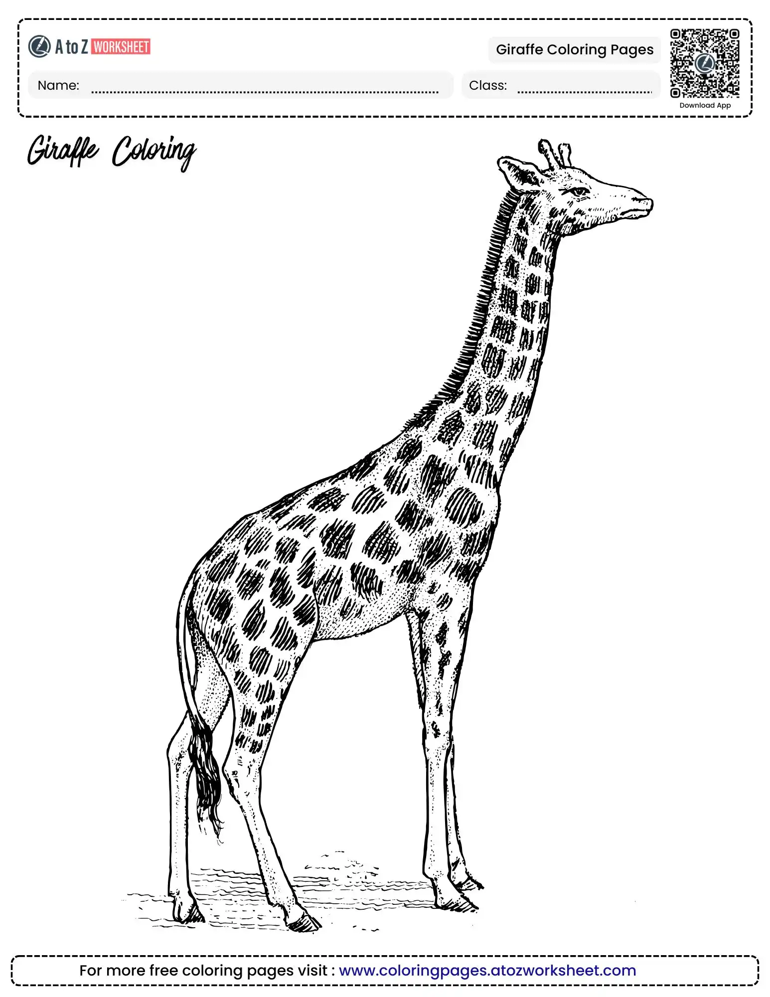 giraffe coloring pages realistic wildlife
