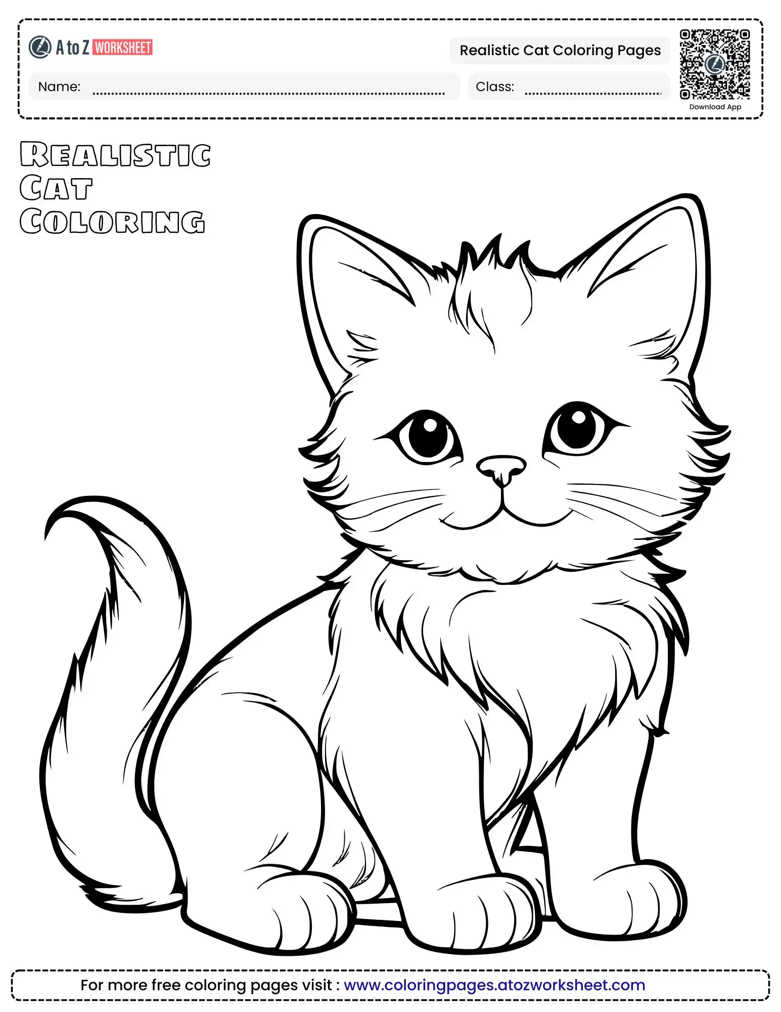 realistic cat coloring pages showing a fluffy long-haired kitten with deep expressive eyes.