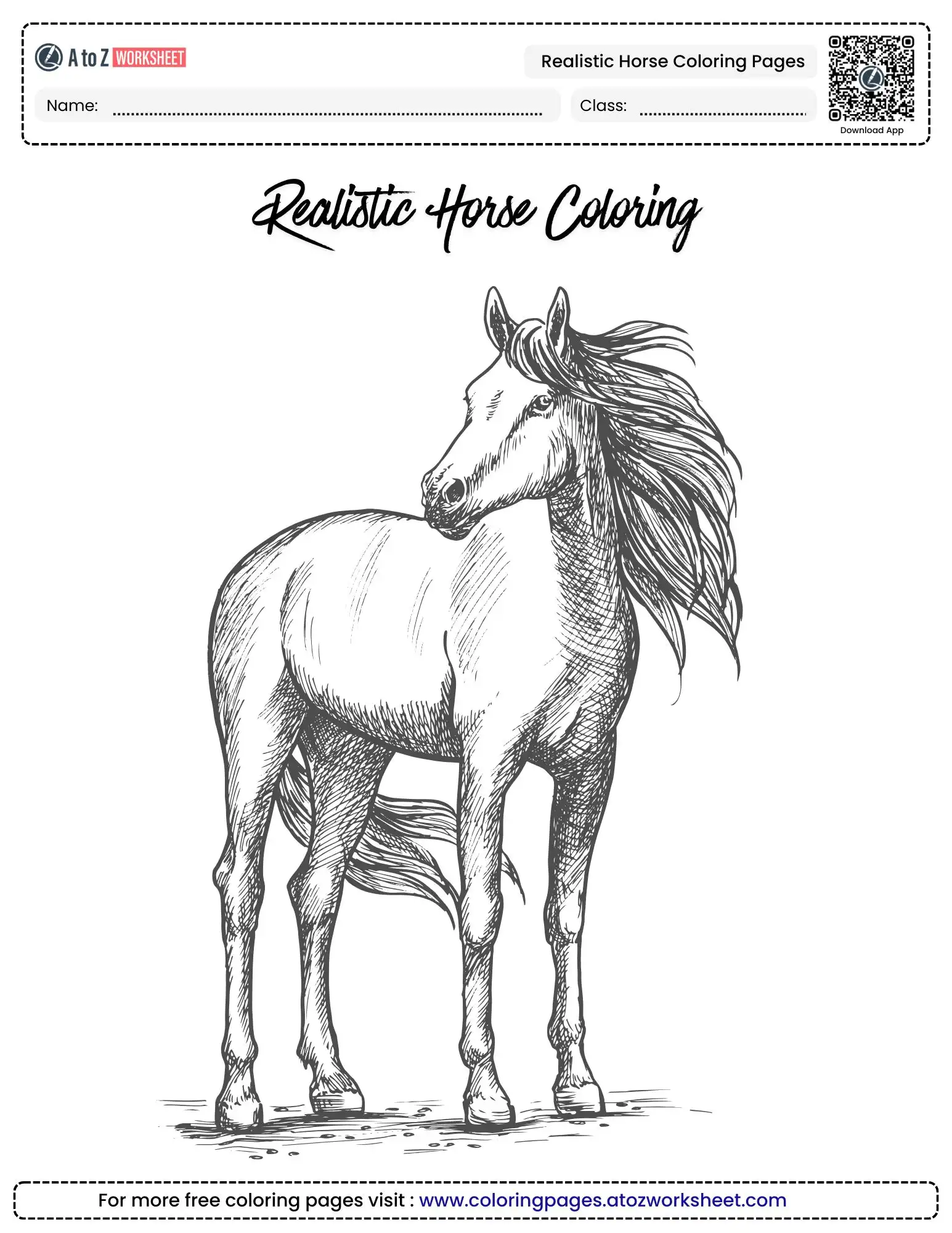 realistic horse coloring pages standing noble steed