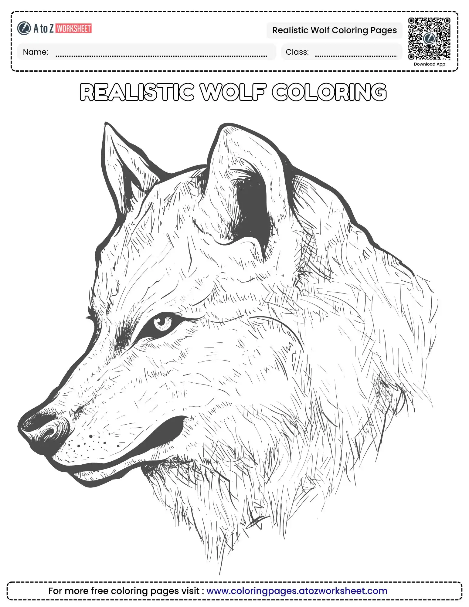 Realistic Wolf Coloring Pages for Creative Classroom Activities & Home Study 2 realistic wolf coloring pages featuring a close up head profile of a wolf