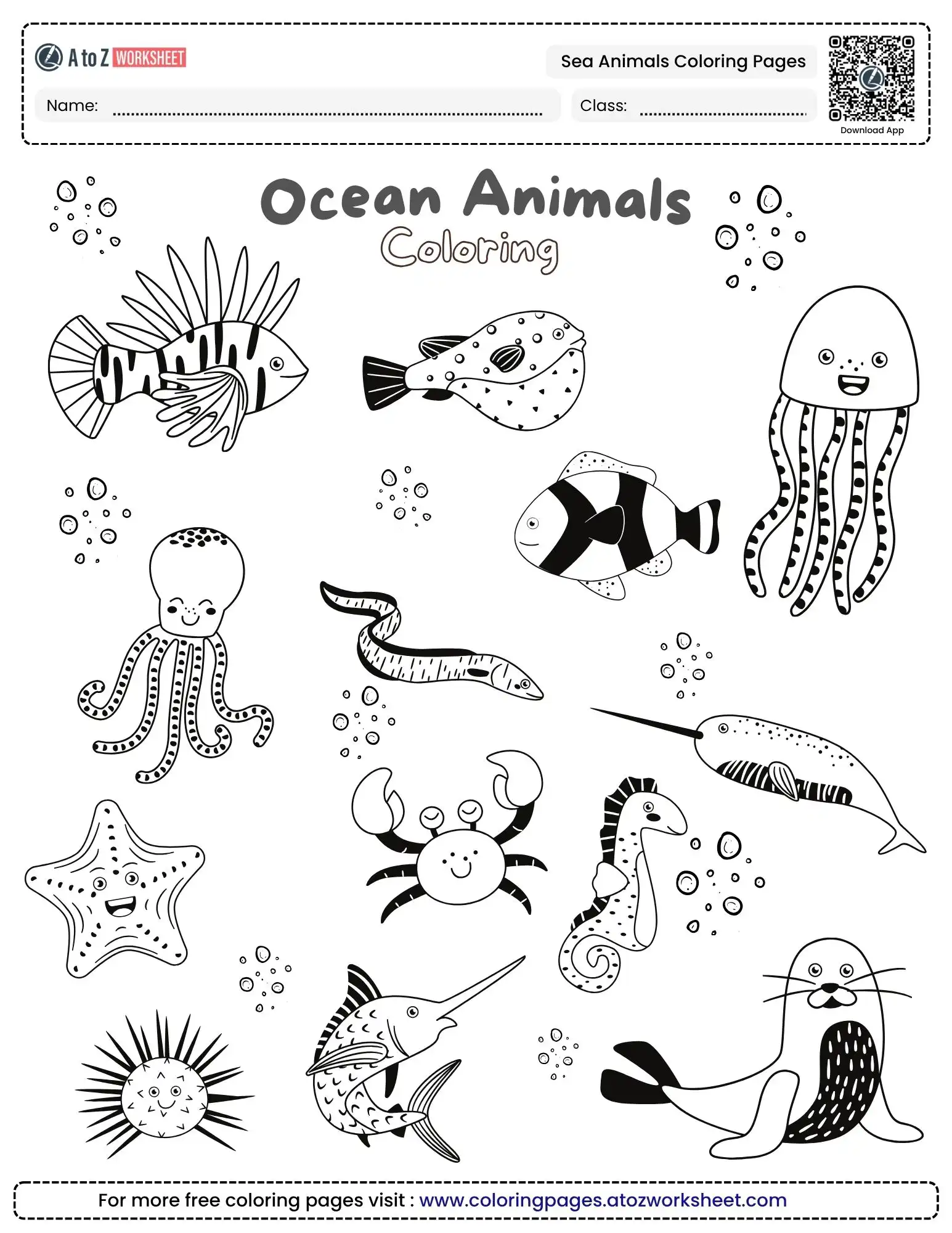 sea animals coloring pages showing a variety of fish starfish and seals